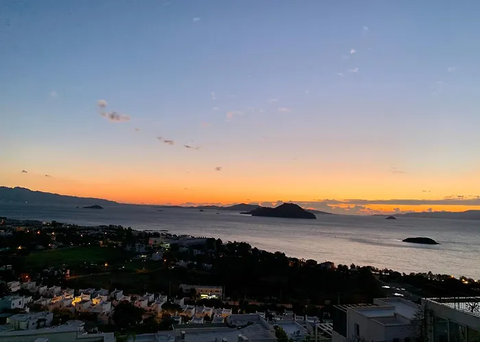 Aylinda With Private Heated Pool Villa Bodrum