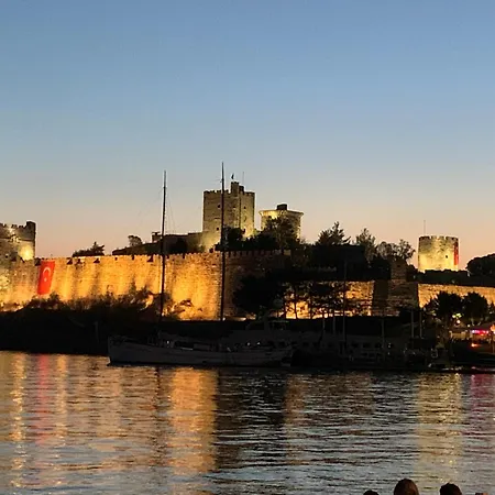 ヴィラ Aylinda With Private Heated Pool ボドルム